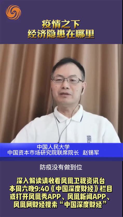 中国资本市场研究院联席院长赵锡军：疫情之下 经济隐患在哪里_凤凰网视频_凤凰网