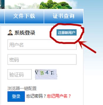 SEO/北京专业SEO网站优化公司·百步传媒