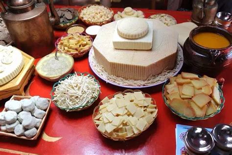 内蒙古餐饮食品职业教育联盟成立 - 餐饮资讯 - 新疆丝路特色餐饮研发中心