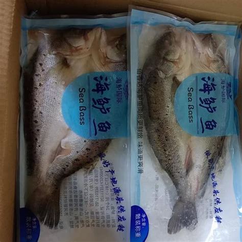 [鲈鱼批发]鲈鱼价格220元/箱 - 惠农网