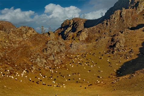 俄罗斯阿尔泰山阿尔泰山翁古代村附近的陡峭岩高清图片下载-正版图片503816206-摄图网