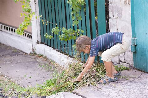 这个男孩收集干草并把它扔进垃圾箱高清图片下载-正版图片505829169-摄图网