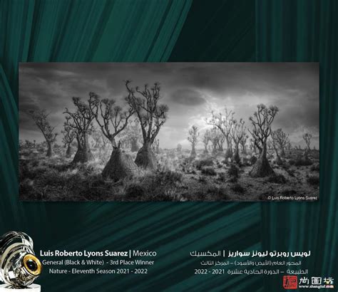 阿联酋迪拜哈姆丹国际摄影大赛--中国摄影家协会网