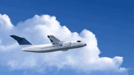 实时追踪追踪佩洛西航班的网站技术有点6！_飞机_数据_信息