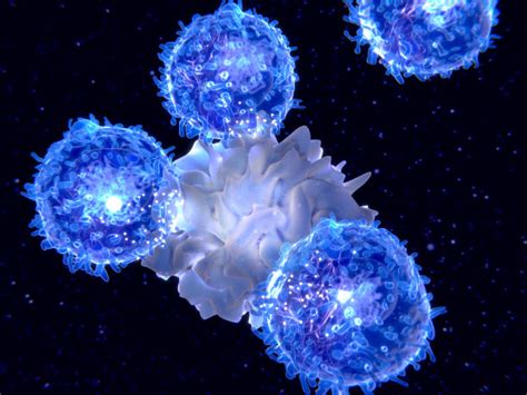 辅助性T细胞 带你了解Th1细胞功能及其表面标记