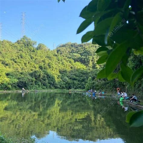 深圳免费钓场_深圳免费钓场大全_深圳哪里能免费钓鱼 - 钓鱼之家