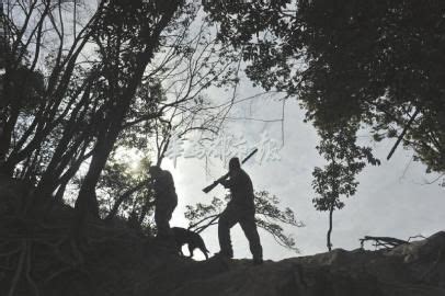 四川狩猎场揭秘：年费10万打野猪标配60发子弹|狩猎|野生动物|野猪_新浪新闻