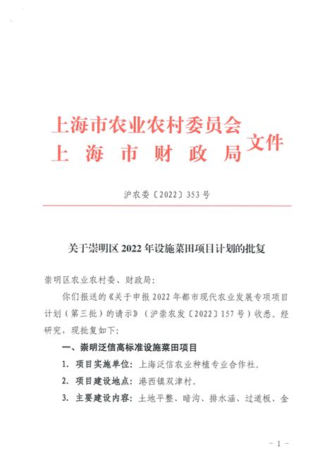 上海市崇明区审计信息中心介绍企业发展分析报告Word模板下载_编号qgewmadw_熊猫办公