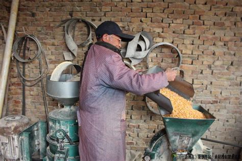 农村老人加工玉米面的过程, 老百姓吃得放心|玉米面|老人|农村_新浪新闻