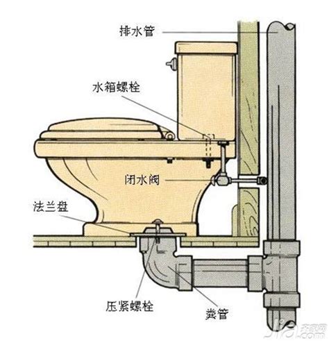 马桶内部结构图图片