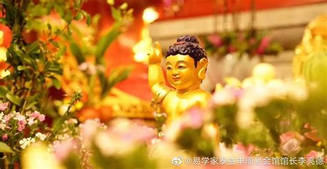 戒台寺浴佛节|恭迎释迦牟尼佛圣诞-北京戒台寺官方网站