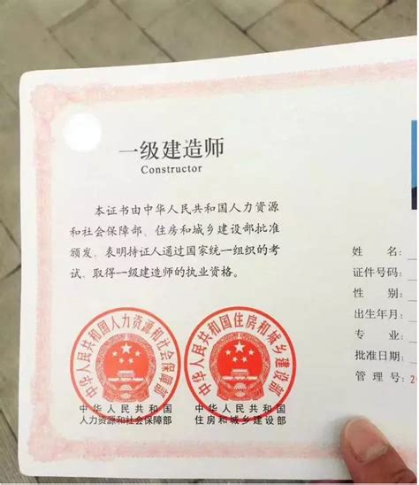 一级图片