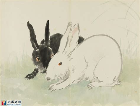 十二生肖兔子和谁最好 兔的敌人生肖 - 时代开运网