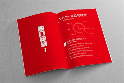 红蚂蚁企业管理咨询有限公司画册设计_灵智国际-站酷ZCOOL