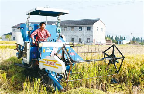 水稻收割步入“机械化时代”-黄岩新闻网