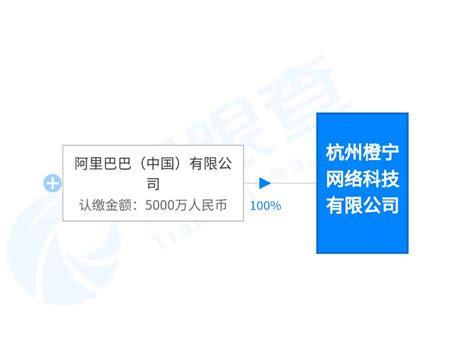 阿里巴巴在杭州成立网络科技公司 注册资本5000万元 - 电商报