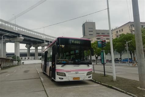上海880路_上海880路公交车路线_上海880路公交车路线查询_上海880路公交车路线图