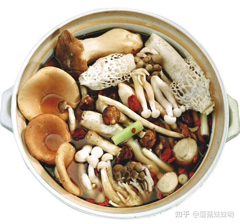 【武陵山珍】适合小朋友吃的蘑菇美味 - 知乎