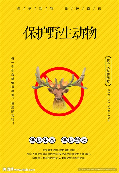 禁食野生动物设计图__海报设计_广告设计_设计图库_昵图网nipic.com