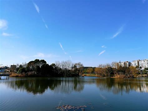 上海新江湾城湿地公园-中关村在线摄影论坛
