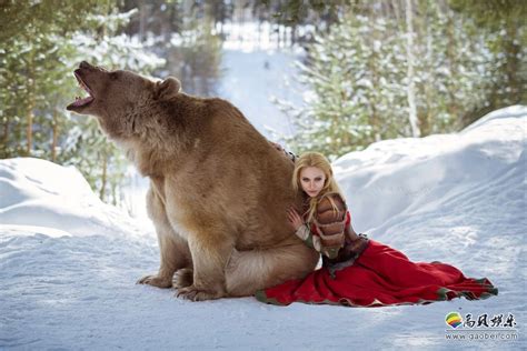 图看俄罗斯人与熊：他们的故事我说你听