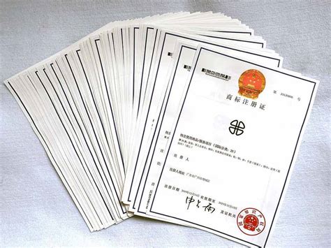 商标注册-广州知名企业国际商标注册公司-三文品牌