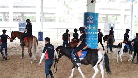 公司介绍_北京马术|骑马|马术培训|儿童骑马俱乐部|马场|儿童马术-中联骑士联盟