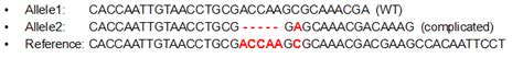 婴儿地中海基因检测出_SEA/αα杂合突变是什么意思？ - 知乎