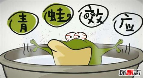 吃青蛙定律（一） 攻坚、选难、行动、说不 - 知乎