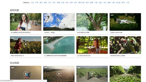推荐10个视频素材网站，免费、高清、可商用_mixkit
