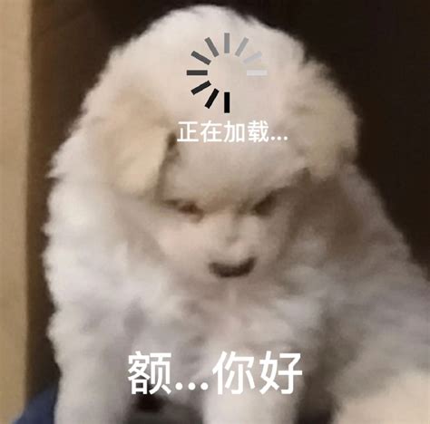都哥们表情包图片