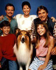 知名电视剧《灵犬莱西》中的明星，苏格兰牧羊犬——犬中的贵族