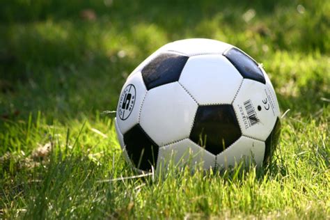 踢足球 Playing Football | 英语作文网