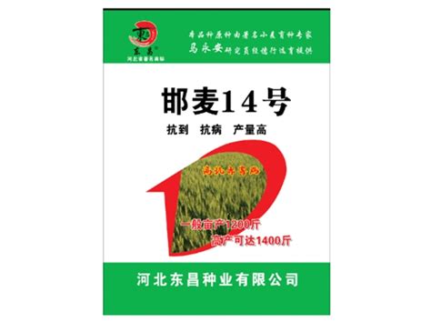 小麦种_产品展示_河北东昌种业有限公司