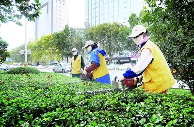 邯郸：园林工人在对人民路绿化景观_名人堂_中国园林网