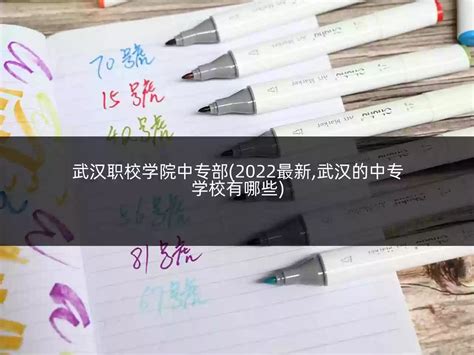 武汉职校学院中专部(2022最新,武汉的中专学校有哪些)_湖北_逸夫择校