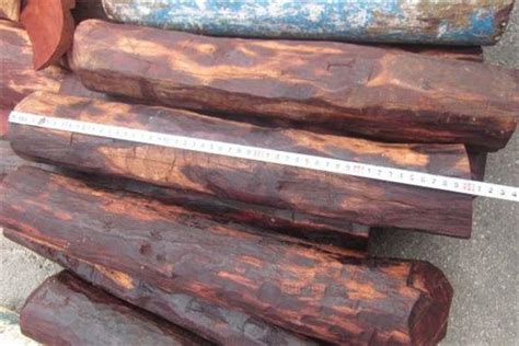 密度最大最硬的木头是哪些？--张家港木材网