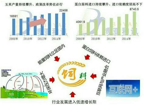 2020年中国饲料行业市场现状及发展趋势分析 产品和服务差异化发展以获取高额利润_前瞻趋势 - 前瞻产业研究院