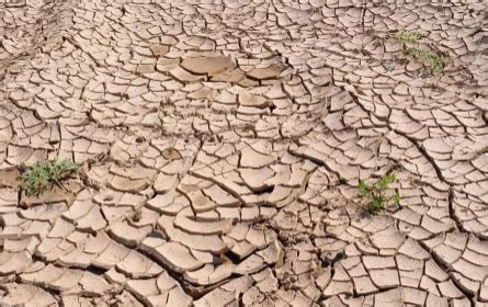 江西九江干旱仍将持续 一周内发布两次干旱红色预警_新浪图片