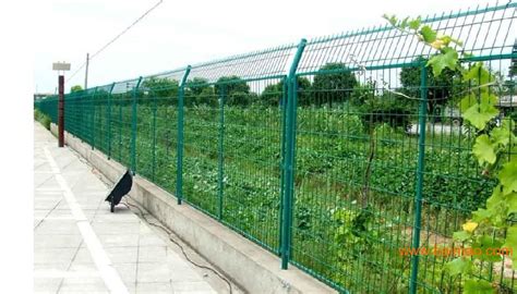 绿植院子围栏-绿地围网-包塑铁丝隔离网-淮安护栏网厂
