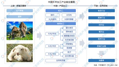 2021年中国牛羊加工产业链上中下游市场剖析（附产业链全景图）-中商情报网