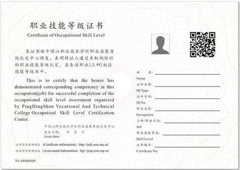 专业技术人员职业资格证书补办指南_河南省人事考试中心