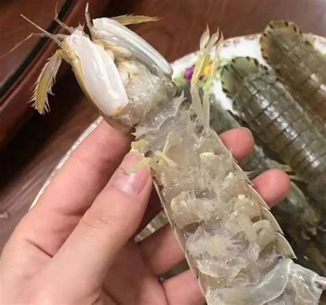 科尔莫 的图像结果