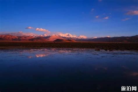 打造世界级旅游目的地，上海援藏携手日喀则举办“2022年日喀则旅游推介会暨数字旅游创新发展论坛”_珠峰_旅游_日喀则