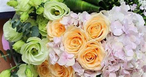 浪漫不凋的香槟玫瑰（探寻香槟玫瑰的意义与象征）-花卉知识-花植网