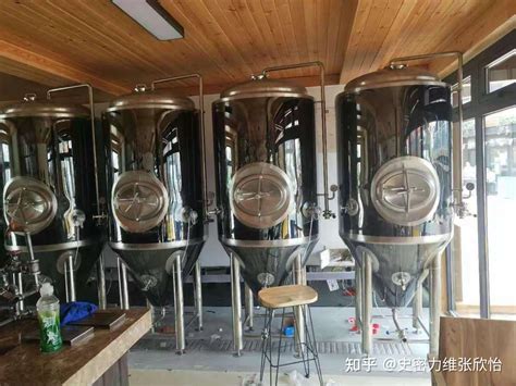 1000L-青岛1000升自酿啤酒设备-河北史密力维环保科技有限公司
