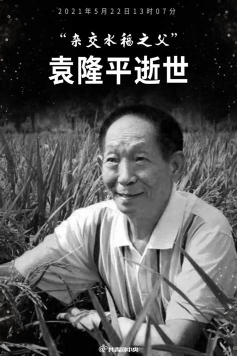 高福：袁隆平是“把论文写在祖国大地上”的最好践行者(含视频)_手机新浪网