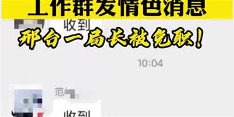 视频｜工作群发不雅消息 邢台一局长被免职_手机新浪网