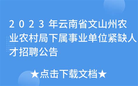 2022年云南文山州文山市事业单位紧缺岗位招聘公告【3人】