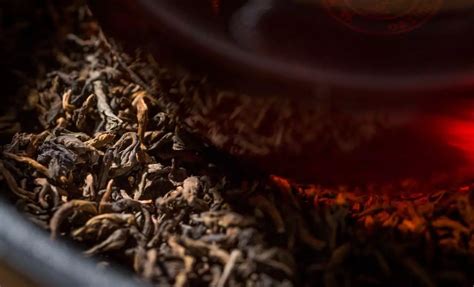 云南茶叶拍摄记-从茶树到茶叶的经历。|摄影|人文/纪实|摄影师果壳 - 原创作品 - 站酷 (ZCOOL)